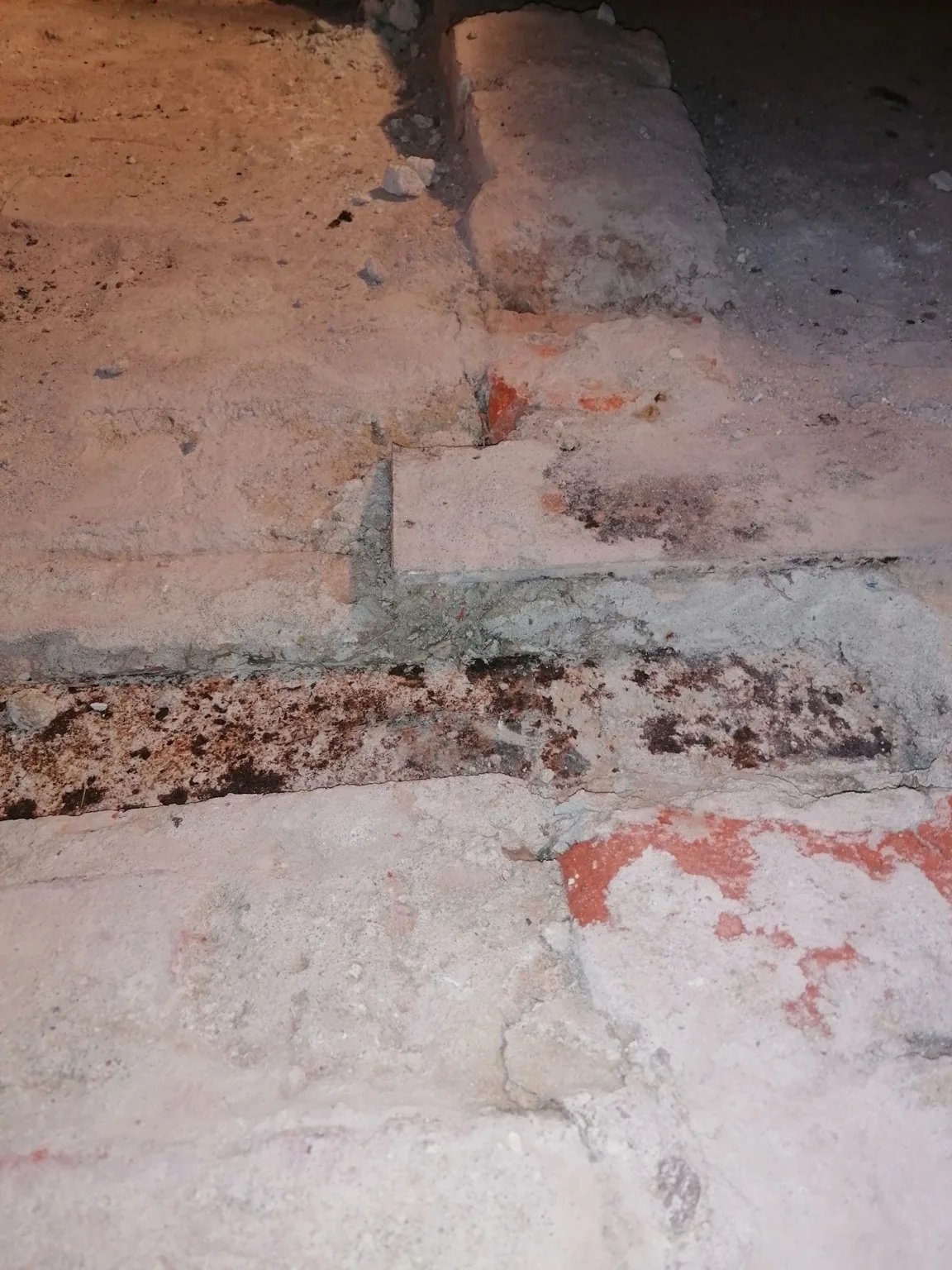 Freigelegte Bereiche bei Hausschwammbekämpfung